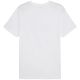 2. Koszulka Puma Ess No.1 Logo Tee M 682532 02