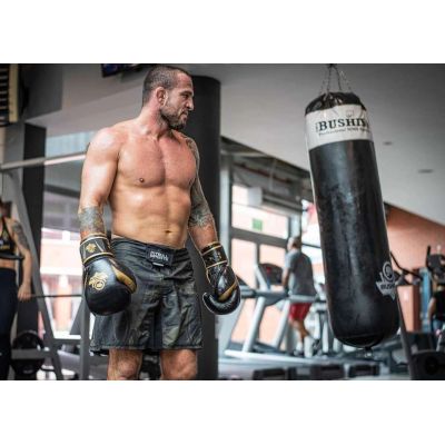 18. Rękawice bokserskie 10oz - Aureos - Valor Series