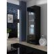2. Witryna SOHO S1 czarny/ czarny połysk
