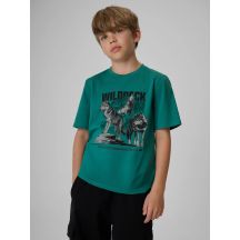 T-shirt regular z nadrukiem chłopięcy 4F 4FJKAW26TTSHM4455-46S