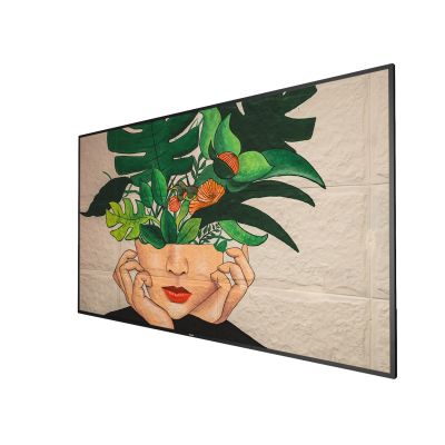 4. PHILIPS D-Line 65BDL4511D 165,1cm(65") 24/7/UHD (Speditionsversand)