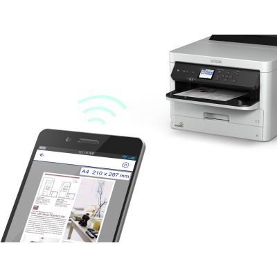 6. Epson DURABrite Pro