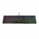 7. Klawiatura CHERRY XTRFY MX 3.1 RGB Przewodowa (EN) MX2A Czerwony sw