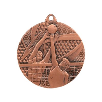 10. medal brązowy- siatkówka