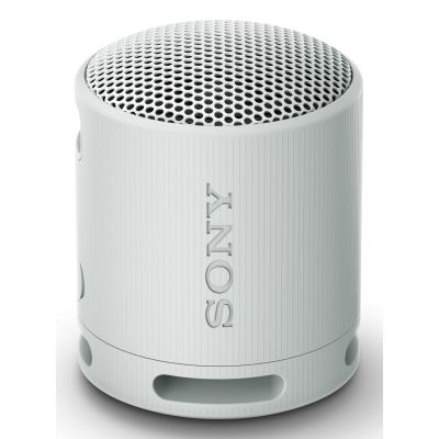 Sony SRS-XB100 Głośnik mono przenośny Szary
