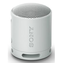 Sony SRS-XB100 Głośnik mono przenośny Szary