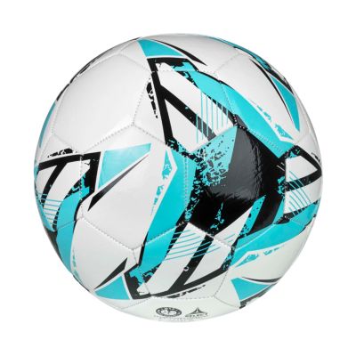 3. Piłka nożna Select Classic v26 biało-niebiesko-czarna 160076