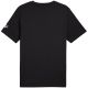 8. Koszulka Puma Sport Graphic Tee M 684617 01