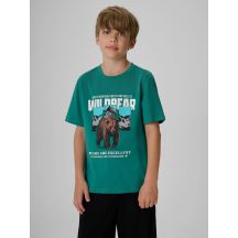 T-shirt regular z nadrukiem chłopięcy 4F 4FJKAW26TTSHM4456-46S
