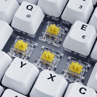 3. Sharkoon SKILLER SGK50 S3 PBT klawiatura Gaming USB QWERTZ Niemiecki Biały