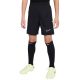 10. Spodenki Nike Dri-Fit Academy 25 Jr FZ9784 010