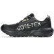 2. Buty Asics GEL-SONOMA 8 GTX 1011B977 003