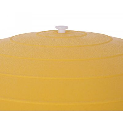 Piłka gimnastyczna Rucanor Gym Ball 45cm żółta + pompka