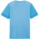 4. Koszulka Puma teamGoal Matchday Jersey M 705747 18
