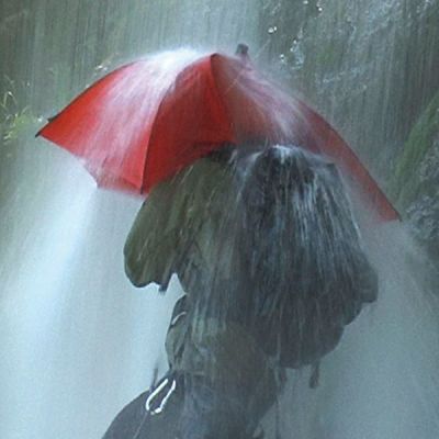 10. EuroSCHIRM Birdiepal outdoor Czerwony Włókno szklane Poliamidowy Pełnowymiarowa Parasol przeciwdeszczowy