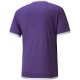 2. Koszulka Puma teamLIGA Jersey M 704917 10