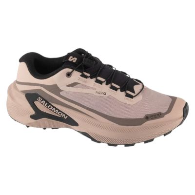 Salomon Genesis 2 GTX W L45388300 Szare 37 1/3