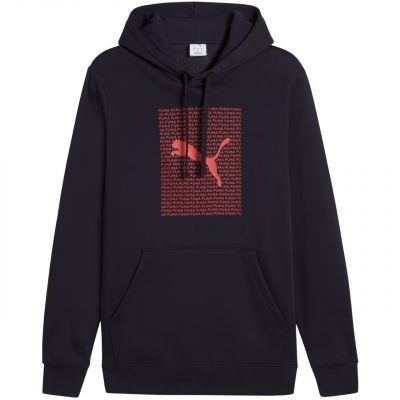 Bluza Puma Ess Logo Lab Hoodie FL M 684669 16
