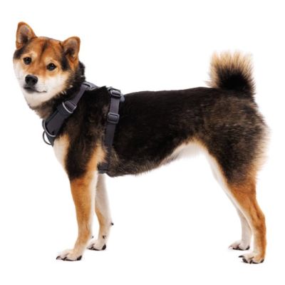 6. Ruffwear 30503-042M szelki dla psów / kotów M Szary Nylon, Poliester Pies Nierozciągliwa uprząż