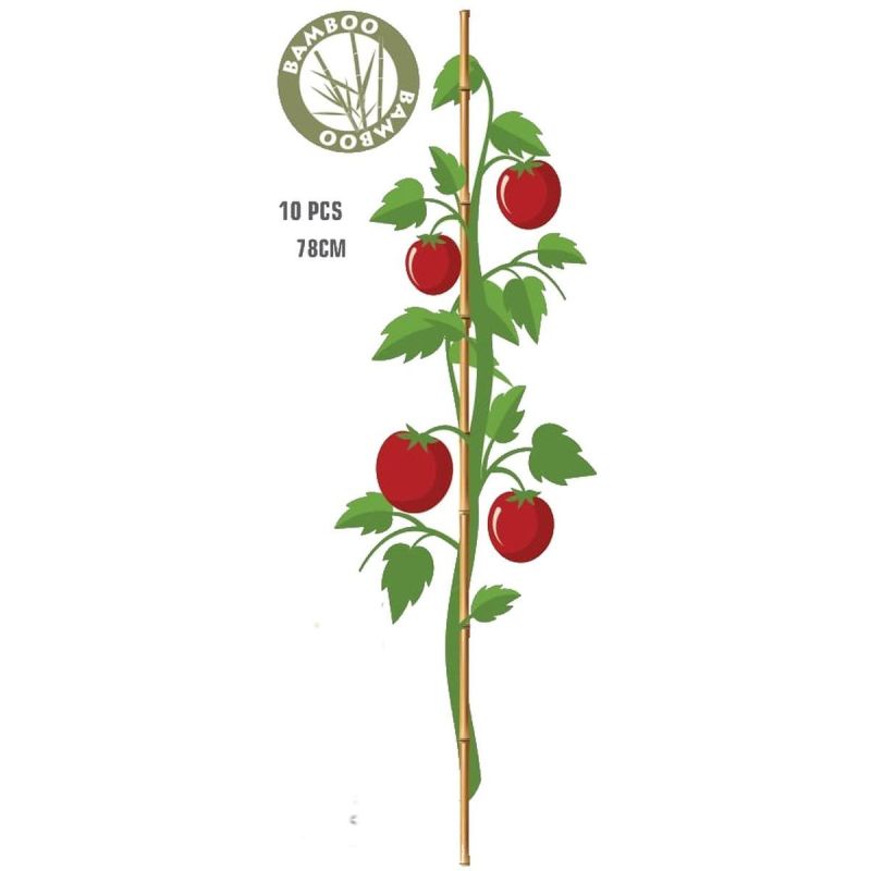 10. PODPORA DO ROŚLIN BAMBUSOWA TYCZKA 78 CM 10SZT PROGARDEN