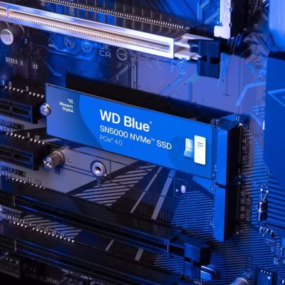 4. Dysk SSD WD Blue SN5000 500GB M.2 NVMe WDS500G4B0E