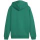2. Bluza Puma Team Goal Casuals Hoddy Jr 658619 05