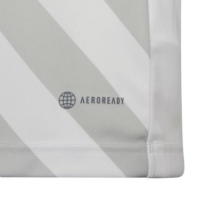4. Koszulka adidas Entrada 22 Graphic Jersey Jr HF0120