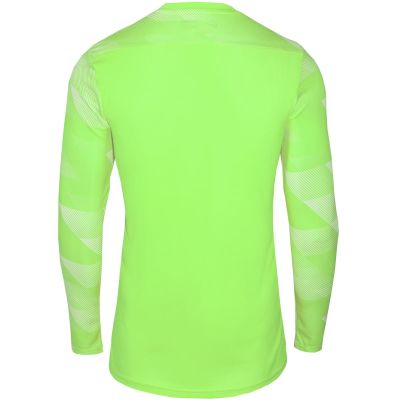 3. Koszulka Nike Dry Park IV JSY LS GK Jr CJ6072-702