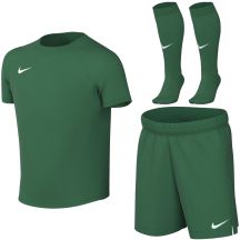 Komplet sportowy dla małych dzieci Nike Dri-Fit Park VIII zielony HV8260 302 S