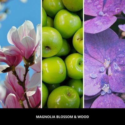 3. Odświeżacz do samochodu PINK - MAGNOLIA BLOSSOM & WOOD MILLEFIORI