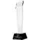 8. Trofeum szklane grawerowane z etui