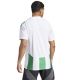 2. Koszulka adidas Striped 24 JSY M IW2148