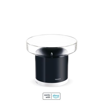 9. Inteligentny Deszczomierz Netatmo NRG