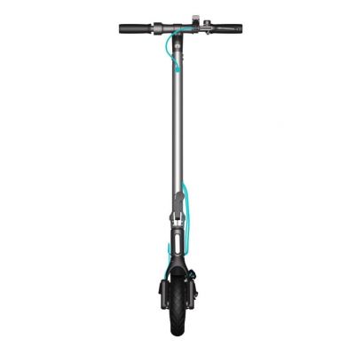 4. Hulajnoga Motus Scooty 8,5 Lite