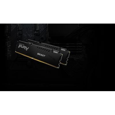 14. Kingston FURY DDR5 32GB (1x32GB) 5200MHz CL40 Beast Black