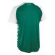 3. Koszulka Piłkarska Select Pisa X zielono biała