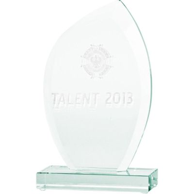 5. Trofeum szklane grawerowane 3D z etui
