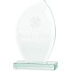5. Trofeum szklane grawerowane 3D z etui