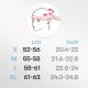 35. Kask narciarski Meteor Montara L 58-61 cm 17293