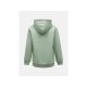 2. Bluza męska PEAK PERFORMANCE M Original Small Logo Zip Hood kolor zielony