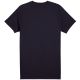 7. Koszulka Puma Sport Graphic Tee M 684617 16