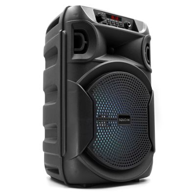 4. SQUEAK GŁOŚNIK KARAOKE PULSETOWER BLUETOOTH 5.3, RADIO FM, MICROSD, AUX, USB SQ1006