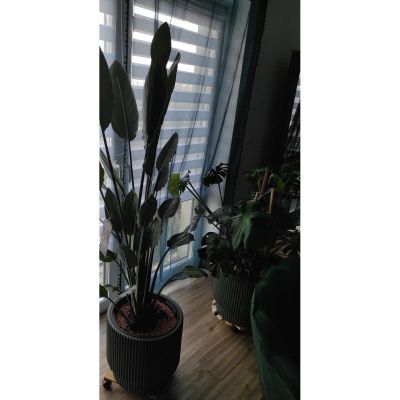 14. DONICZKA DO KWIATÓW MILLY ŚR 24CM MIEDZIANY