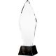 7. Trofeum szklane z etui