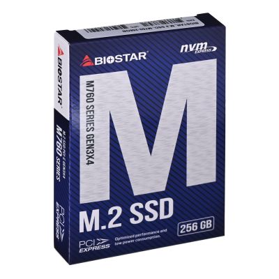4. Dysk SSD Biostar M760 256GB