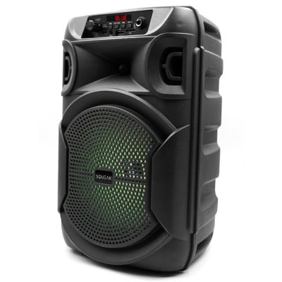 8. SQUEAK GŁOŚNIK KARAOKE PULSETOWER BLUETOOTH 5.3, RADIO FM, MICROSD, AUX, USB SQ1006