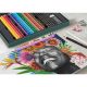 4. Faber-Castell Polychromos & Pitt Graphite Matt Set Wielobarwny 48 szt.