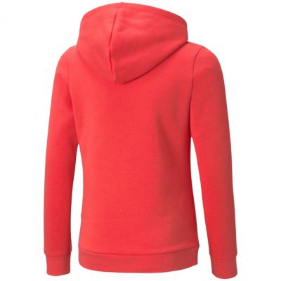 2. Bluza Puma ESS Logo Hoodie FL Jr 587031 35