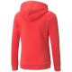 2. Bluza Puma ESS Logo Hoodie FL Jr 587031 35