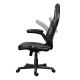 4. Fotel gamingowy TRUST GXT703 RIYE GAMING CHAIR BLACK (25128)